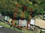 303 Campbell Street, Thames, Thames - Carousel 10
