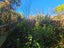 18 Terrace Street, Marton - Carousel 30
