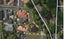 376 Trafalgar Square, Nelson, Nelson - Carousel 30