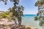 12 Gray Crescent, Torbay, Auckland - Carousel 4