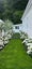 16 Bracken Street, New Plymouth, New Plymouth - Carousel 29