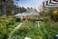 97 Haigh Access Road, Albany - Carousel 9