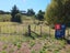 35 Wylie Road, Foxton Beach, Foxton - Carousel 2