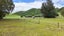 1 Waimangu Road, Tumunui, Rotorua - Carousel 23