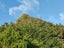 5380 State Highway 12, Ruawai, Ruawai - Carousel 25