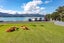 2620 Wyuna Bay Road, Wyuna Bay, Coromandel - Carousel 11