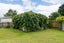 15B Roosevelt Street, Levin, Levin - Carousel 15