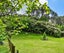 449 Poripori Road, Lower Kaimai, Tauranga - Carousel 41
