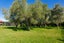 211 Lovers Lane, HAPUKU, KAIKOURA - Carousel 5