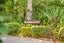 1029B Akatarawa Road, Akatarawa, Upper Hutt - Carousel 33