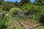 357 Taneatua Road, Whakatane - Carousel 33