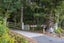 1287 Kaipara Coast Highway, Kaukapakapa, Rodney, Auckland - Carousel 4