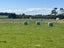 31 Woodlands Morton Mains Road, WOODLANDS, INVERCARGILL - Carousel 4