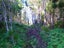 207 Tanglefern Row, Virgin Flat, Cape Foulwind - Carousel 11