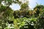 1 Renton Road, Mount Albert, Auckland - Carousel 2