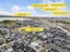 3 Kota Lane, Hobsonville, Auckland - Carousel 21