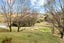 1350 State Highway 12, Oue, Kaikohe - Carousel 37