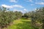 23 Battys Road, Yelverton, Blenheim - Carousel 6