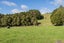 43 Waiariki Road, Whakapara, Hikurangi - Carousel 16