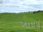 23 Mairoa Road, Piopio, Piopio - Carousel 11