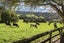 43 Waiariki Road, Whakapara, Hikurangi - Carousel 9