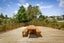 59 Stillwater Crescent, Stillwater - Carousel 20