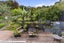 19 Trotter Avenue, Waiomu, Thames - Carousel 14