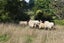36F Farquharson Road, Hunua, Franklin, Auckland - Carousel 25