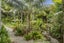17 Fern Glen Road South, Saint Heliers, Auckland - Carousel 17