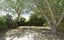 730 Gloucester Street, Avonside, Christchurch - Carousel 3