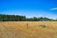104 Jordan Road, Waingawa - Carousel 10