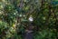 79C Hill Road, Palm Beach, Waiheke Island - Carousel 26