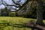 801 South Head Road, South Head, Helensville - Carousel 30