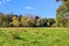 248 Hursthouse Street, Lower Moutere, Upper Moutere - Carousel 6