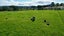 3 Te Mai Road, Woodhill, Whangarei - Carousel 7