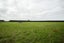 1371 Longbeach Road, Eiffelton, Ashburton - Carousel 31