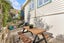 318 Karori Road, Karori, Wellington - Carousel 25