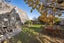 1 Don Place, Alexandra, Alexandra - Carousel 16