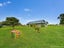 2149 Awhitu Road, Pollok, Pollok - Carousel 21