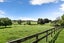 3293 Ohaupo Road, Rukuhia, Hamilton - Carousel 5