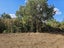 6129 Mangakahia Road - Carousel 10