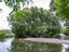 587 Gladstone Road, Gladstone - Carousel 4