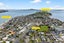 27 Gulf Crest, Bucklands Beach, Auckland - Carousel 5