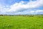 Lot 3 Bird Road, Pirongia, Waipa, Waikato - Carousel 13