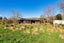 22 Reeves Street, Cheviot, Cheviot - Carousel 48