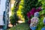 7 Acton Place, Saint Johns Hill, Whanganui - Carousel 9