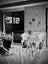 3 Carniew Place, Dannemora, Auckland - Carousel 28
