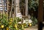 56A St Andrews Road, Epsom, Auckland - Carousel 16