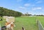 161 McKays road, Riversdale, Riversdale - Carousel 27