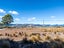 132 Barnett Avenue, Best Island, Richmond - Carousel 19